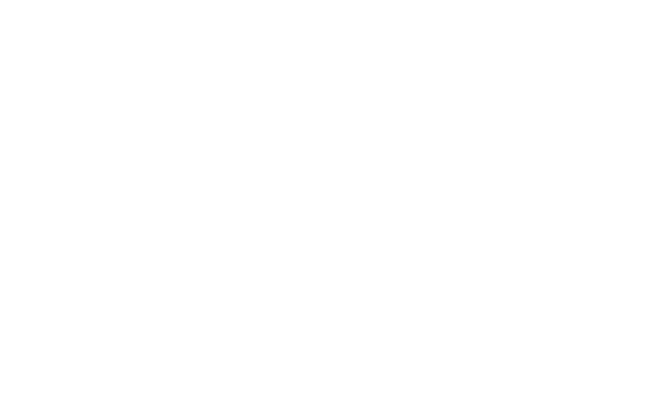 Feature Article