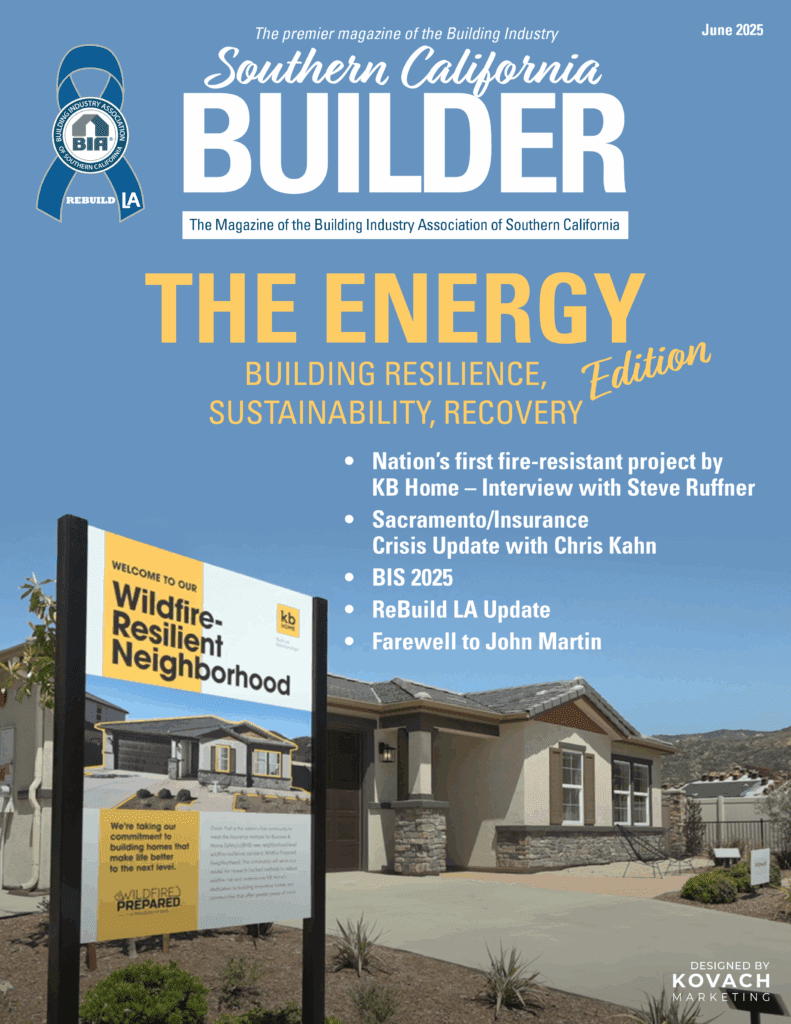 BIASC Magazine - June 2025 - 30th Edition